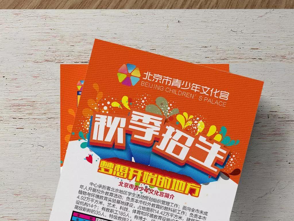 单页优化终极指南：快速提升转化率与用户体验的秘诀