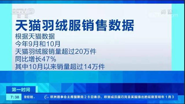 宣传模板：快速制作专业宣传材料的秘诀，提升效率与品牌一致性