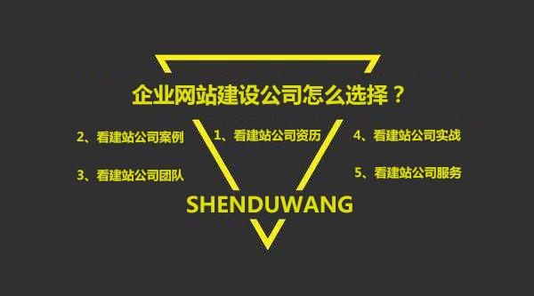 深圳网站建设公司选择指南：专业资质、成功案例与性价比评估全解析